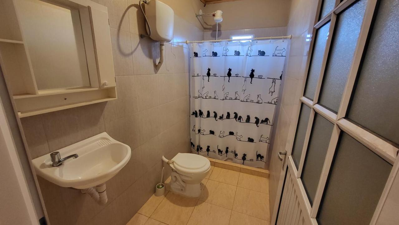 Amplio Monoambiente